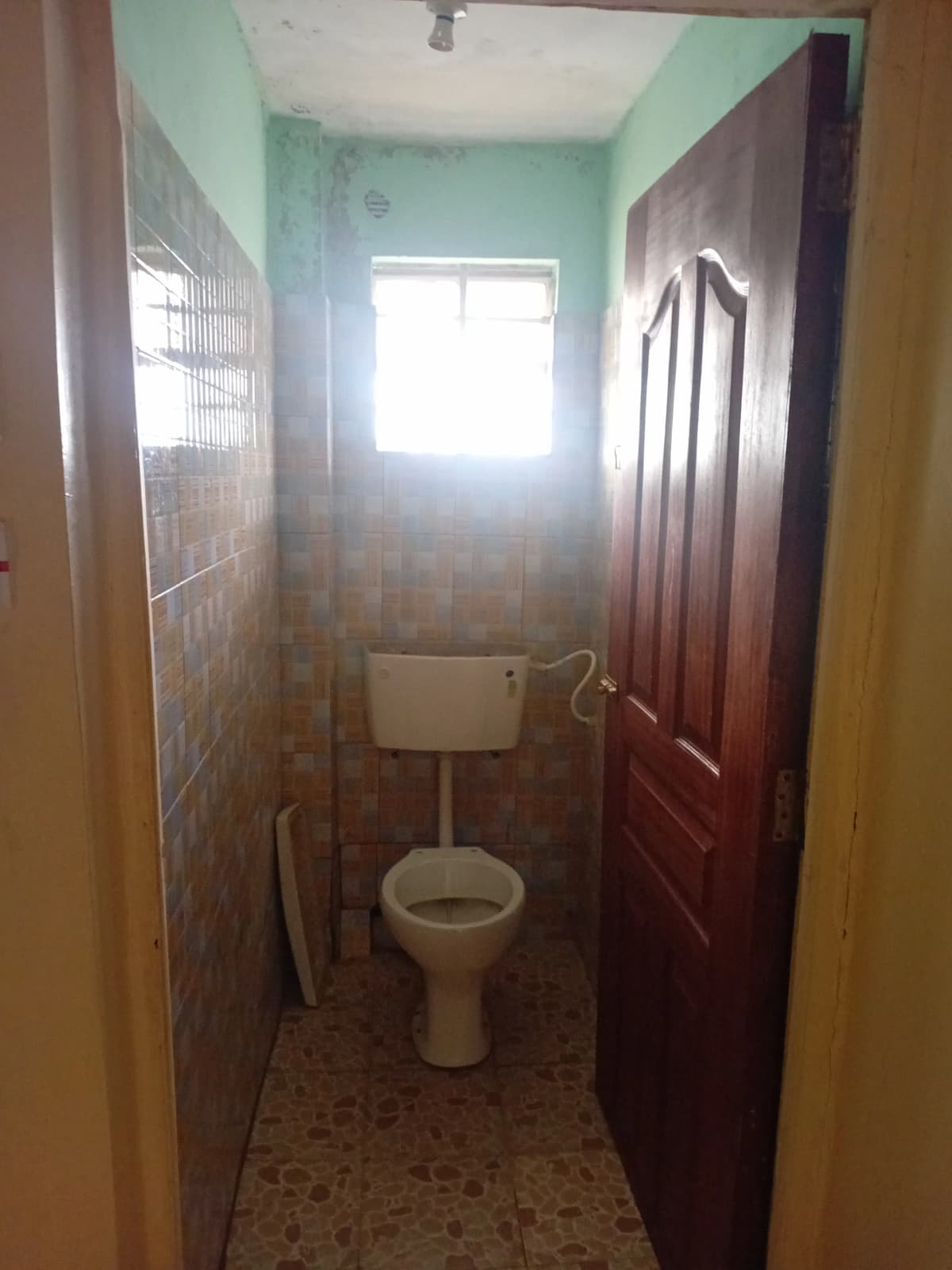 Compact toilet room with pedestal basin and small window