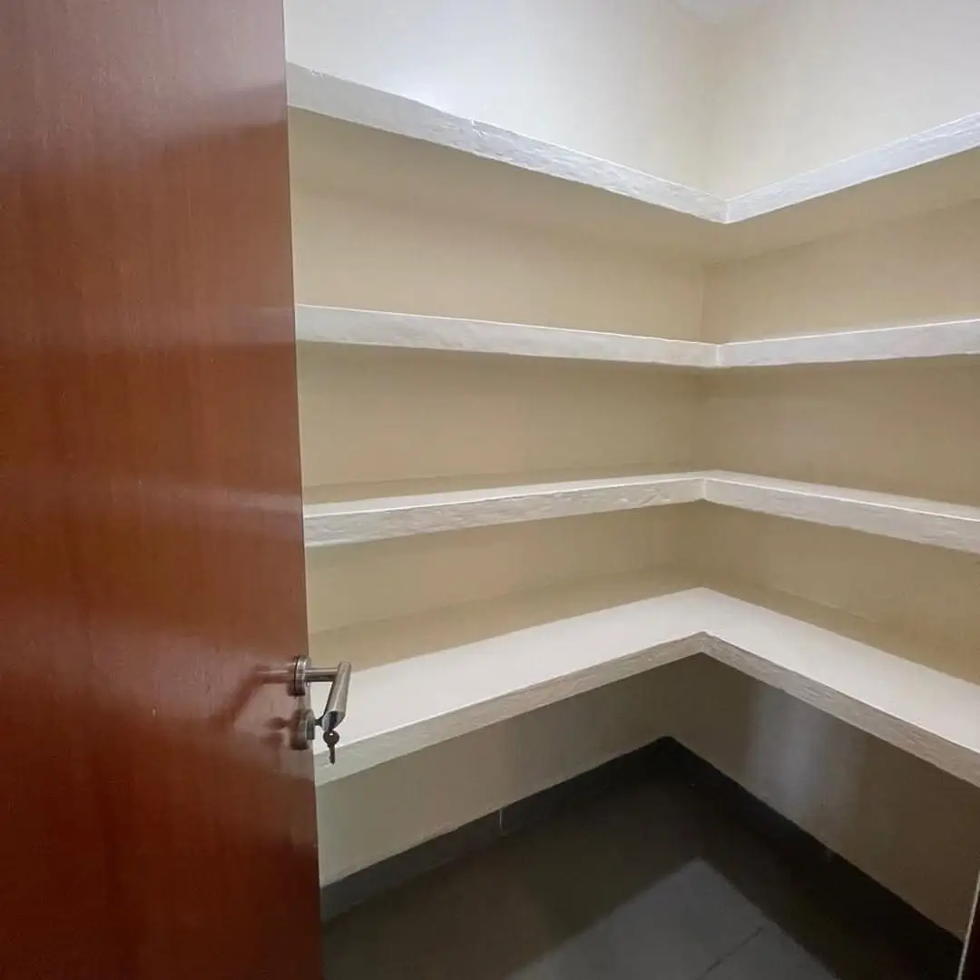 Dedicated pantry with built-in shelving and wooden door