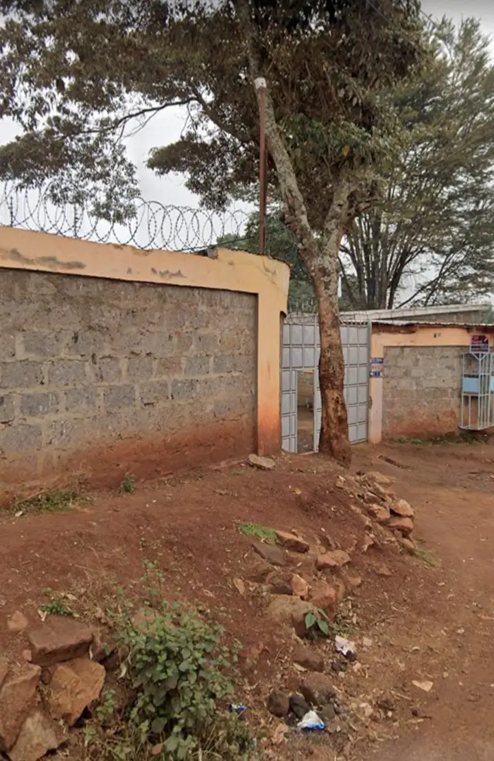 Compound entrance with stone walls and mature tree