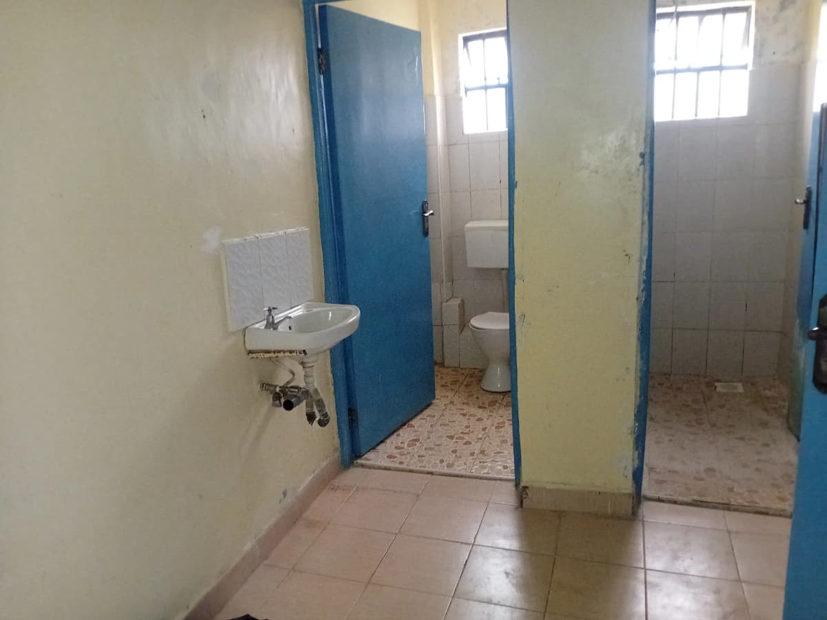 Communal bathroom with multiple stalls and shared sink