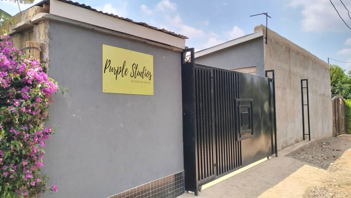Modern gray facade with black gate and flowering bougainvillea
