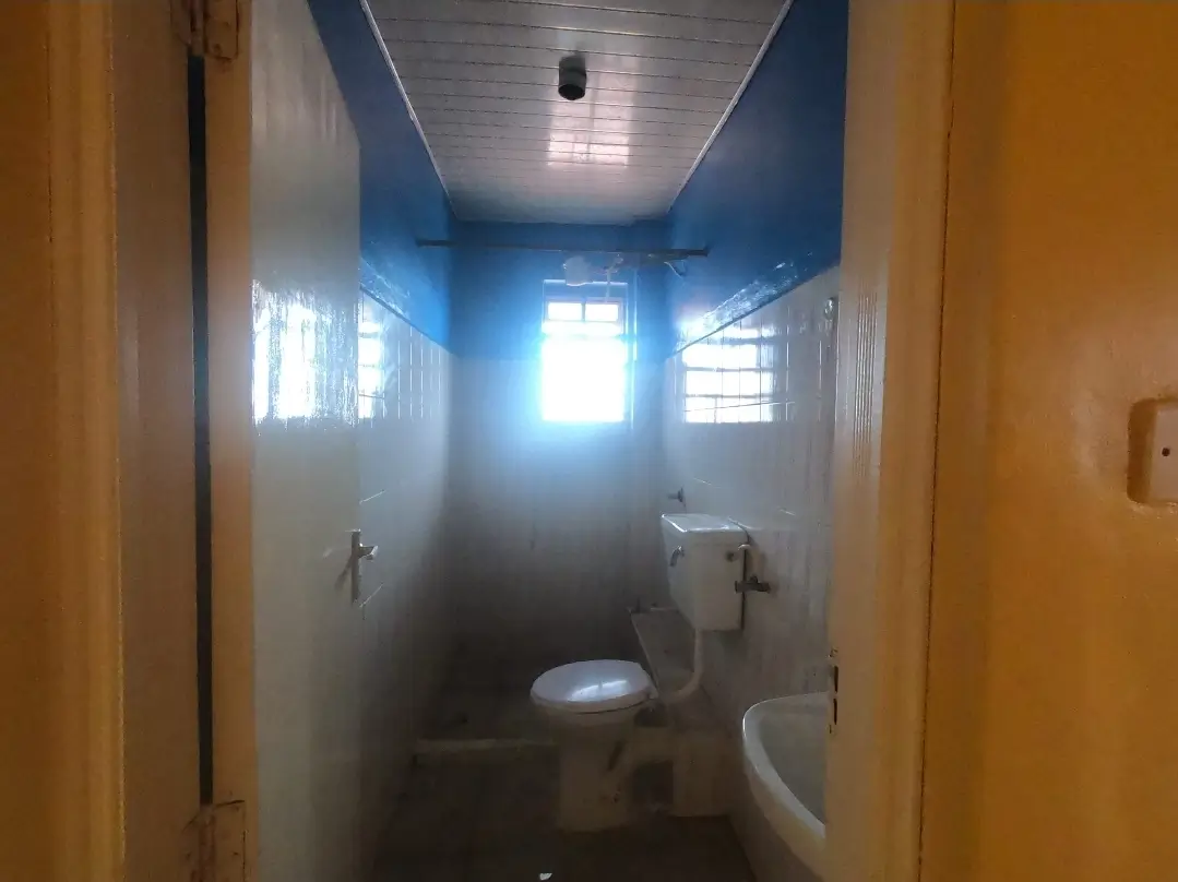 Simple bathroom with toilet, sink, and natural light