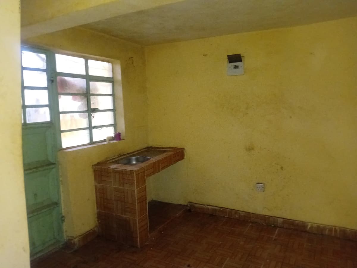 Compact kitchen with built-in counter and green door entrance