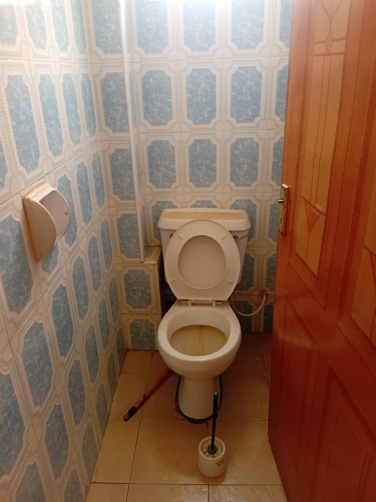 Simple toilet room with blue patterned tiles and wooden door