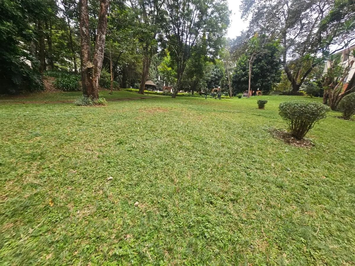 Spacious manicured lawn with mature trees and hedges