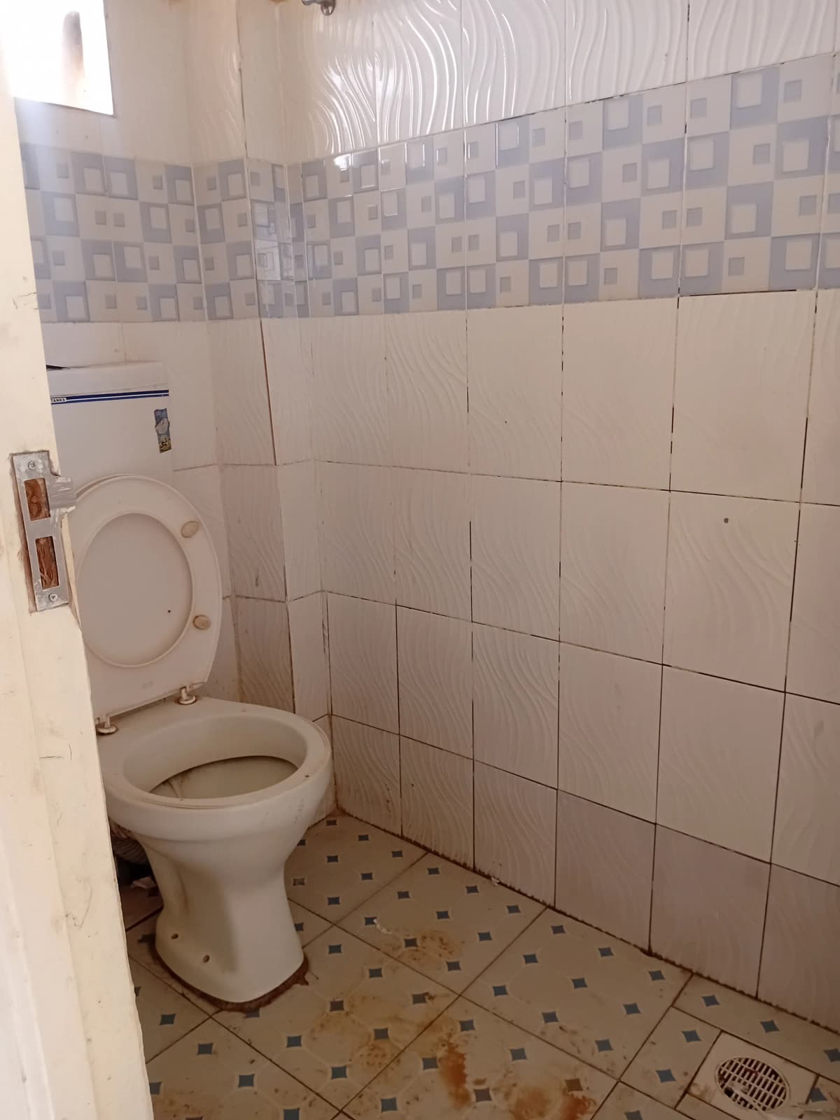 Simple bathroom with toilet, tiled walls and patterned floor