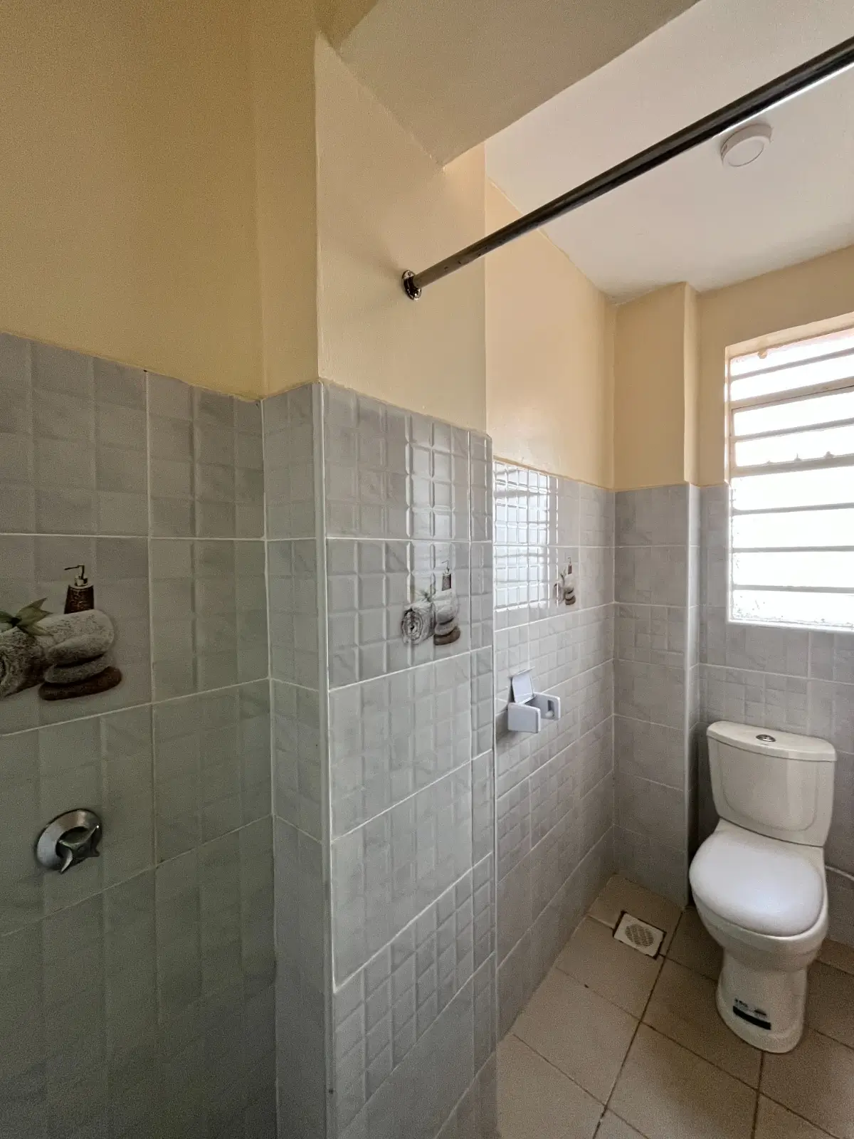 Modern bathroom with walk-in shower, toilet, natural light
