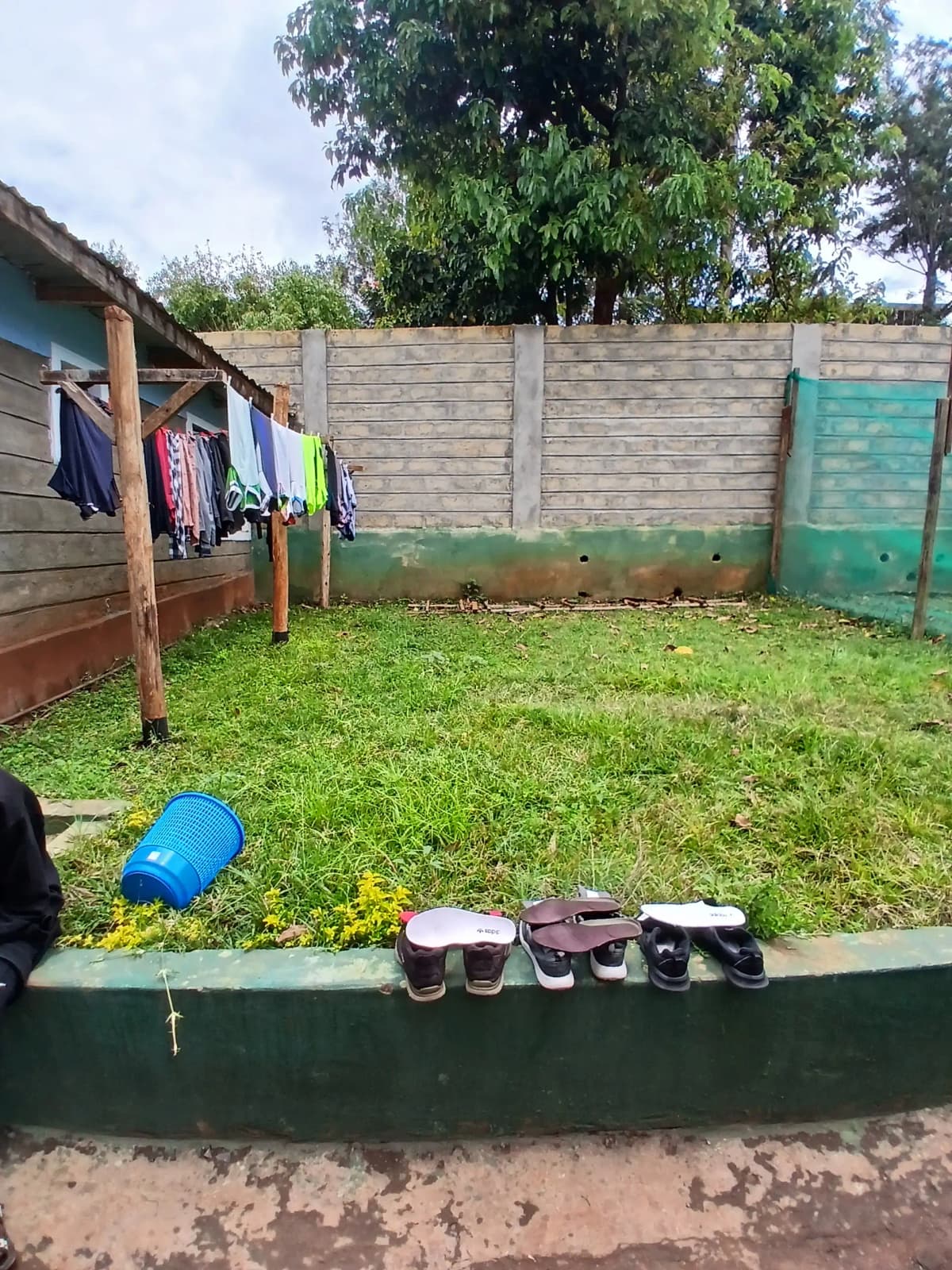 Outdoor laundry area with clothesline and washing equipment