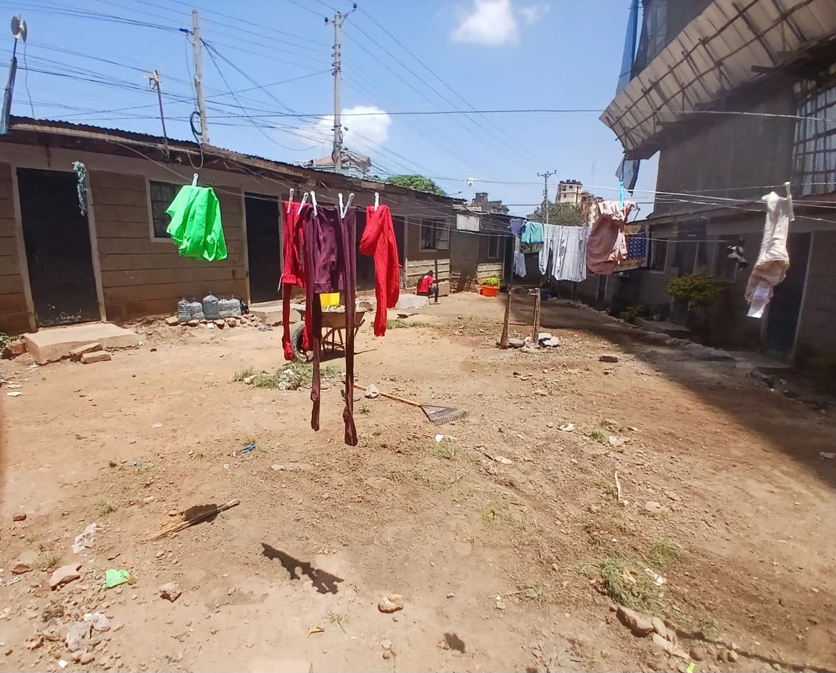 Outdoor laundry drying area with clotheslines and hanging garments