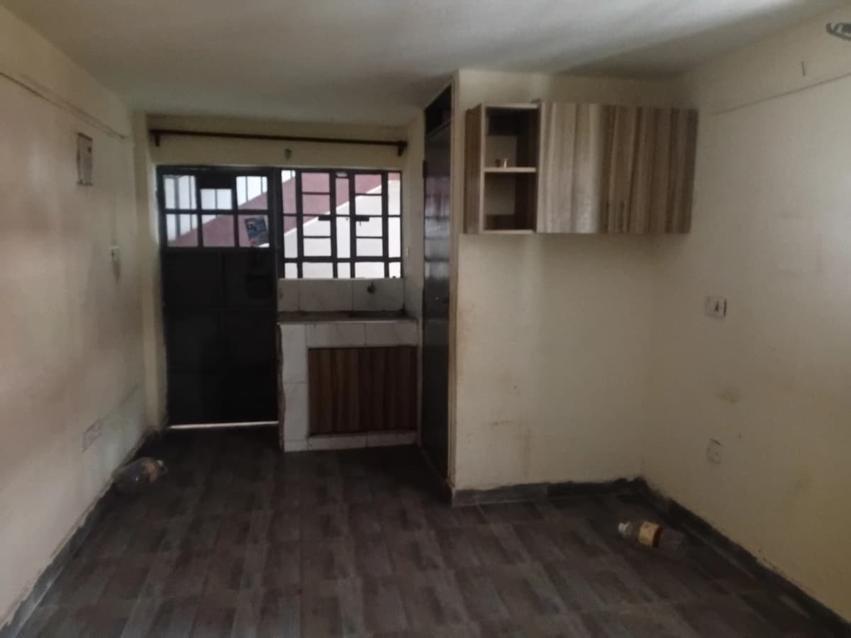 Unfurnished living space with dark wooden flooring and entrance