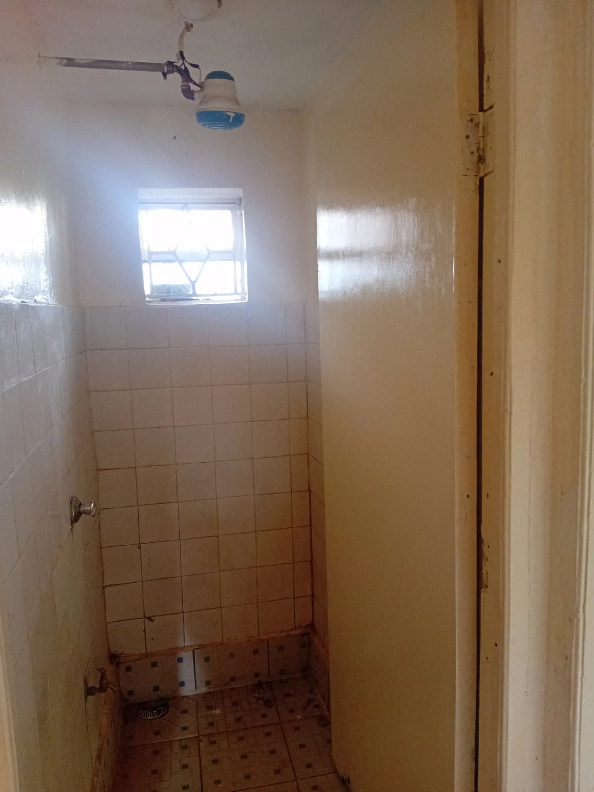 Simple bathroom with tiled walls and small window