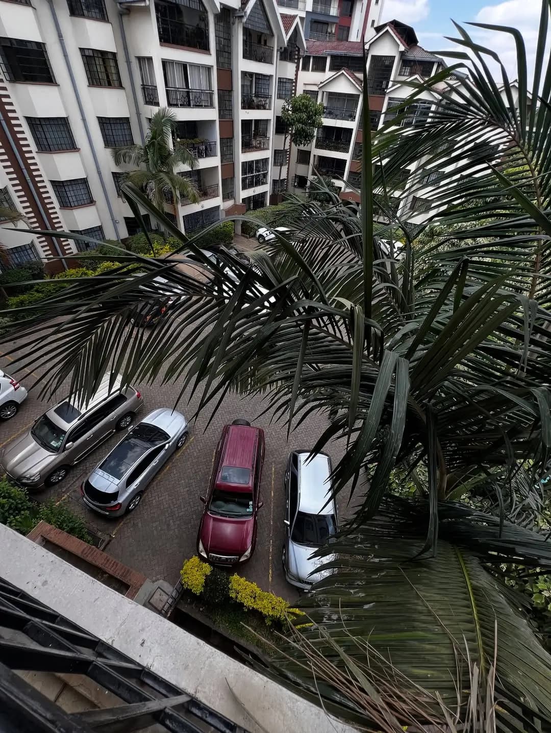 Compound parking area with landscaped gardens and palms