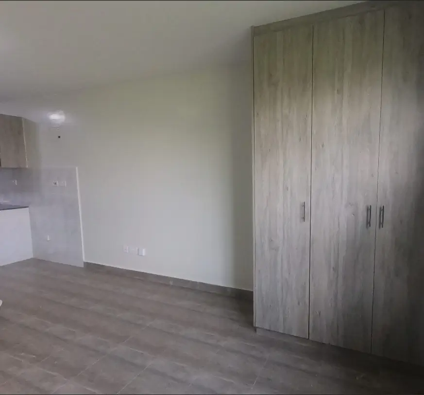 Spacious bedroom with built-in wooden wardrobe closets
