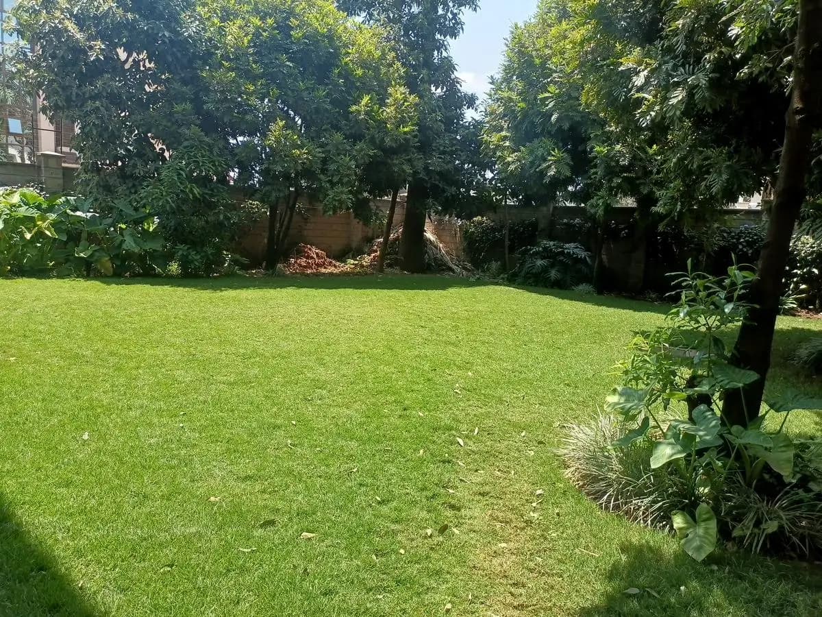 Manicured lawn with mature trees and landscaping