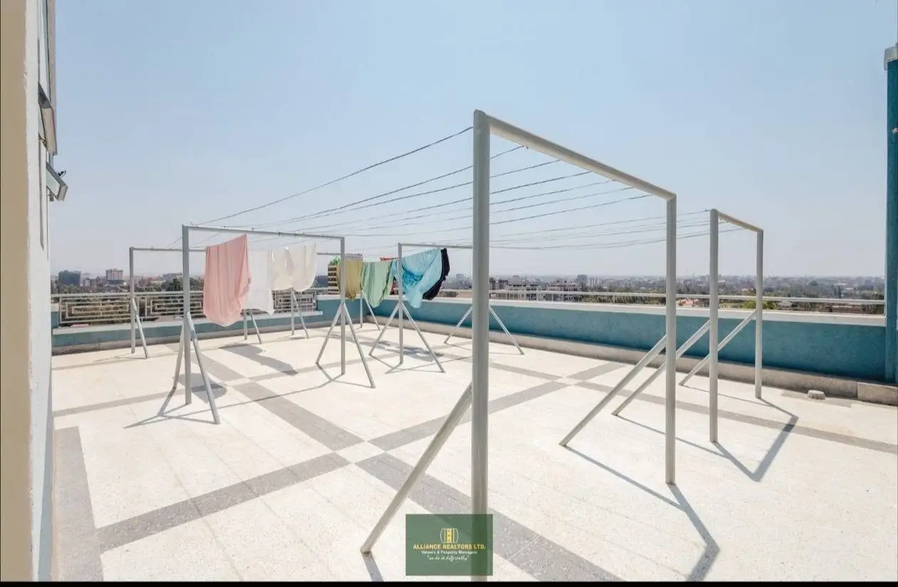 Rooftop outdoor drying area with metal clothesline frames