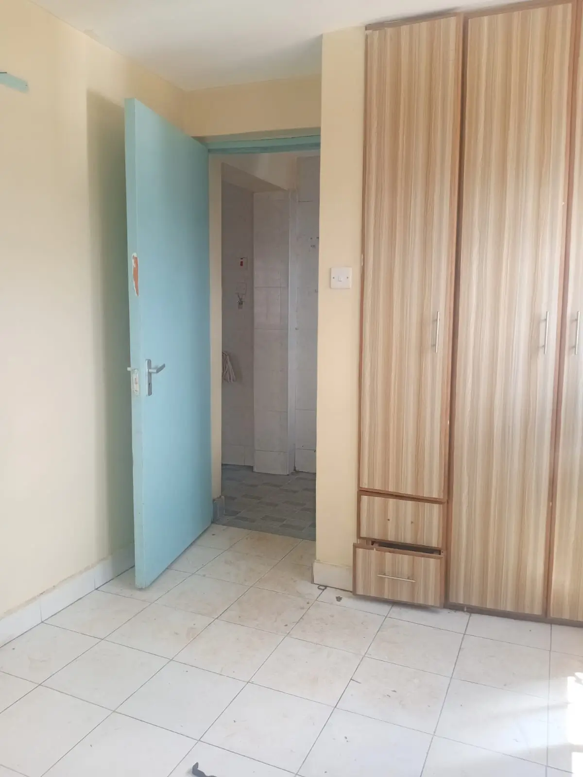 Bedroom with built-in wardrobe and blue door entrance